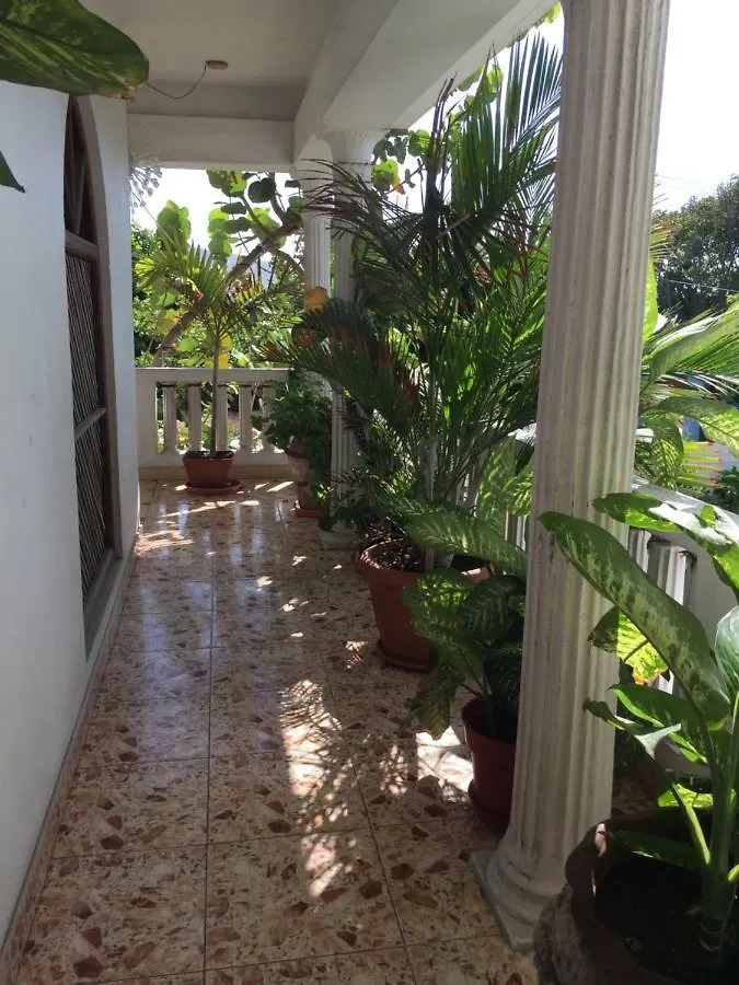 Hotel Callie'S Beach House Portmore